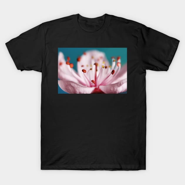 Spring Joy T-Shirt by SharonJ